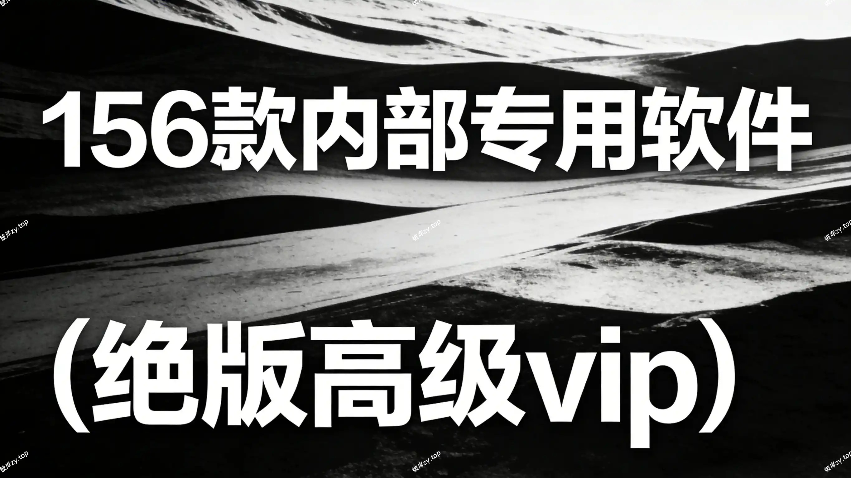 156 款内部专用软件(绝版高级 vip)|彼岸资源网