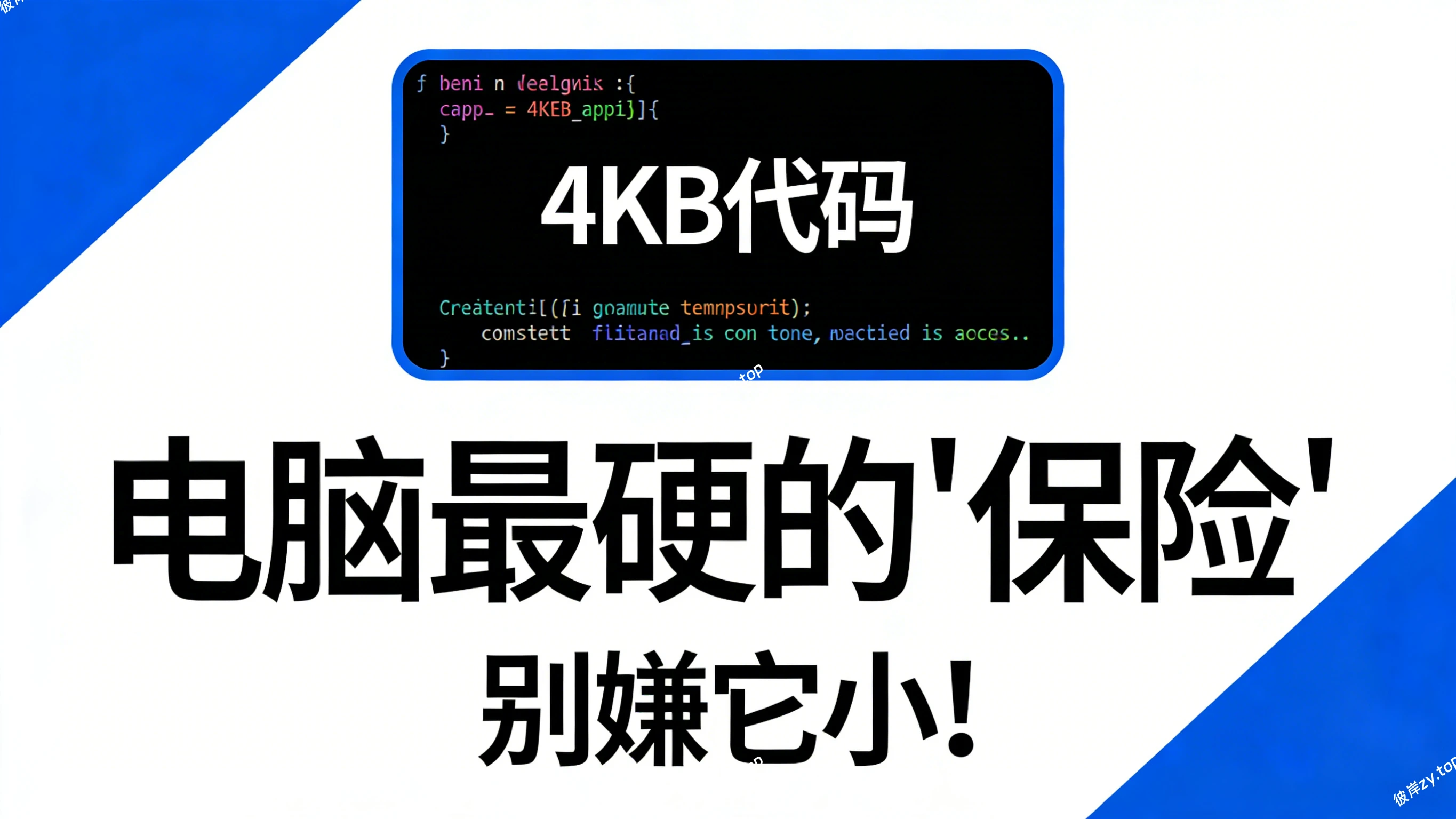 别嫌它小！这4KB的代码，可能是你电脑最硬的“保险”|彼岸资源网