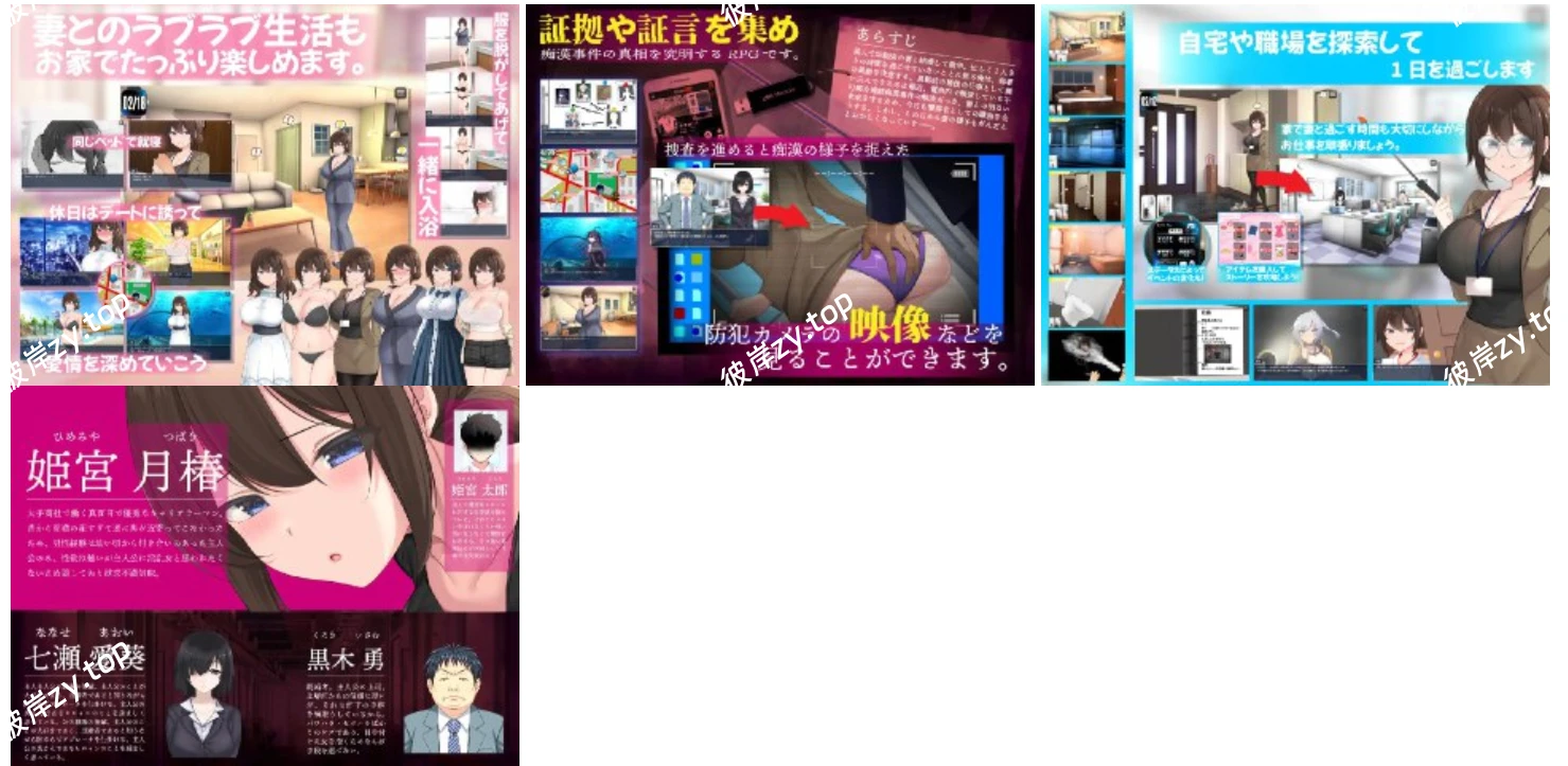 【PC】连续CH事件簿～妻子怀抱着真相～|彼岸资源网