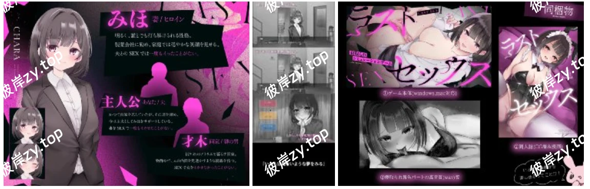 【PC】最后的性爱——被NTR的模拟游戏|彼岸资源网