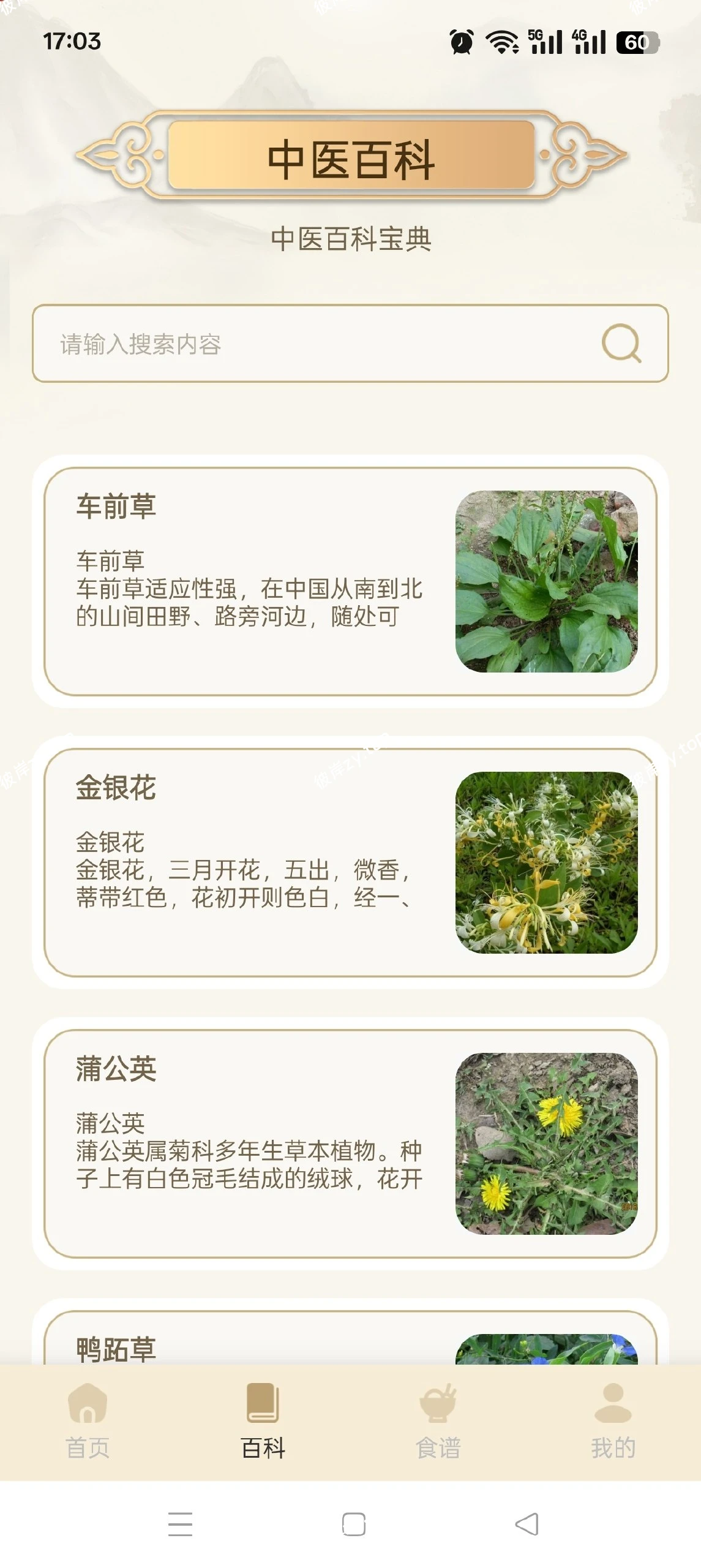 【分享】养未中医🔥学习健康中医养生🔥免费无广|彼岸资源网