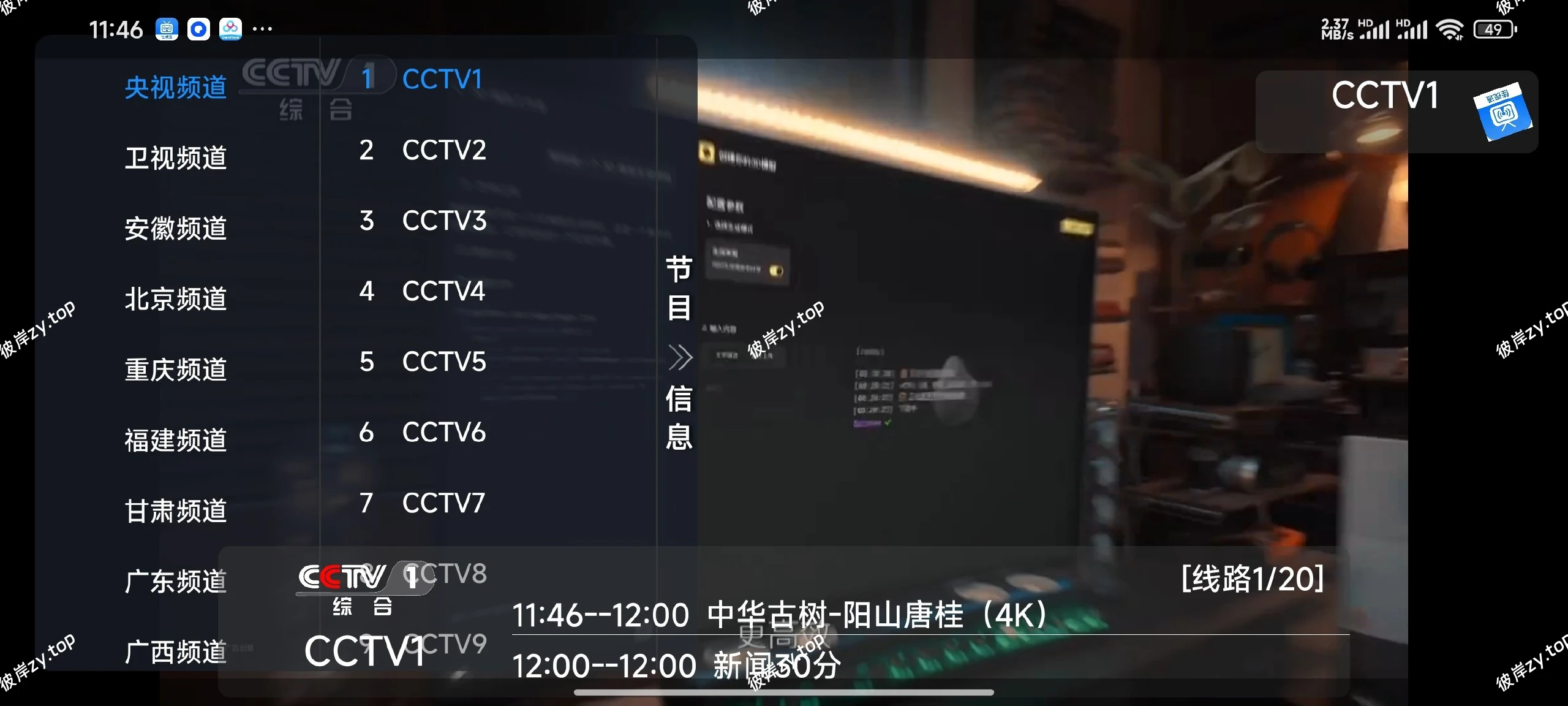 【分享】佳视通🔥秒播无卡顿💋电视家✅TV直播⭕频道直播|彼岸资源网