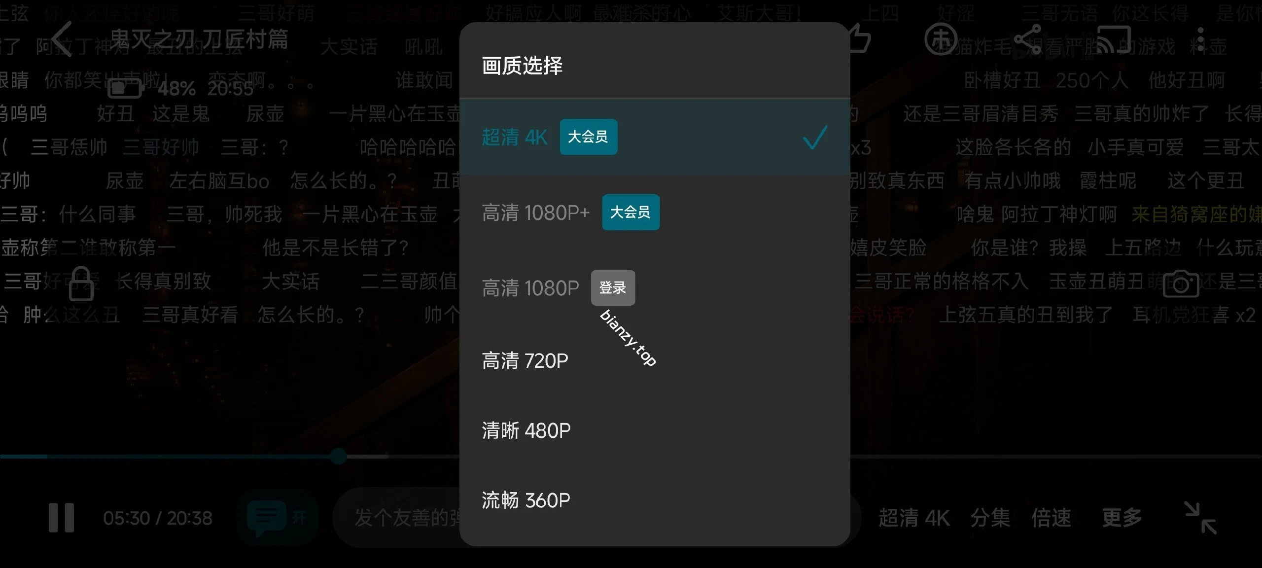 【分享】BliPai Focus🔥B站第三方看番🔥4K画质|彼岸资源网