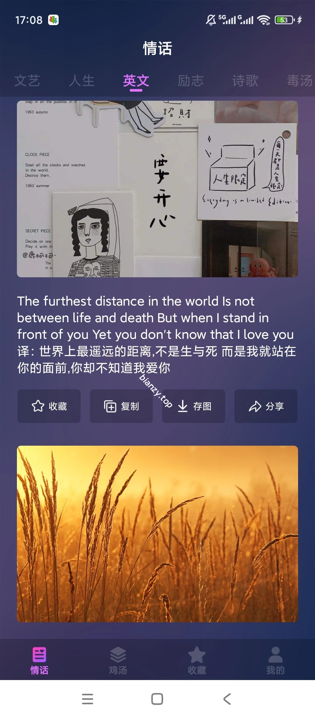 【原创解锁】爱情语录🔥解锁会员🔥聊天文案随心用🔥|彼岸资源网